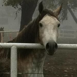 Meet your Posher, Kat